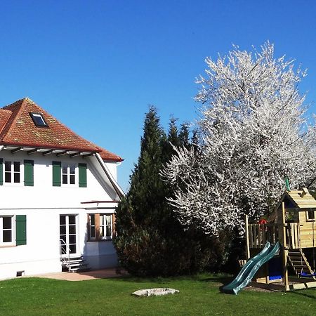 Schwarzwaldhaus24 - Ferienhaus Mit Sauna, Whirlpool Und Kamin Aichhalden Bagian luar foto